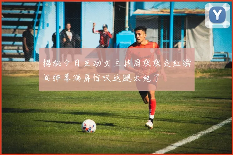 揭秘今日互动女主持周敢敢走红瞬间弹幕满屏惊叹这腿太绝了