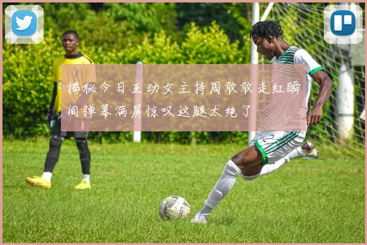 揭秘今日互动女主持周敢敢走红瞬间弹幕满屏惊叹这腿太绝了