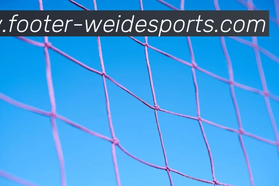 伟德体育APP 封面图